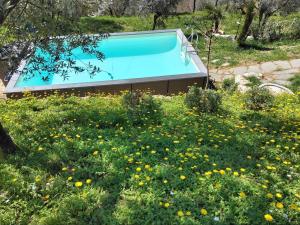 Villanova Tenuta Lonciano