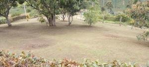 Casa De Campo