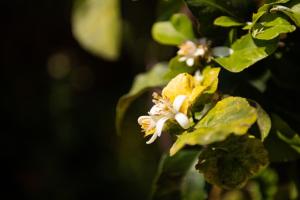 Casa Nicoletta img24