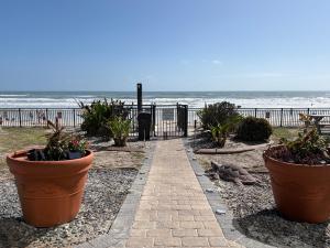 Single, Double or Quad Oceanview Studios - Direct Beach Access, Oceanfront Pool & Tiki
