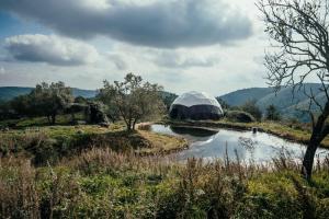 Reggioli- Appartamento Erborista