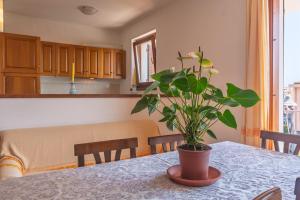 Residence Galatea -Bilocale