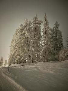 Appartamenti Larice Pila