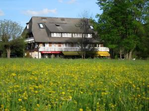 Ferienhaus Adler Bellevue