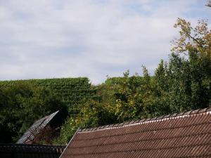 Haus Der Malerin Andrea Gawaz