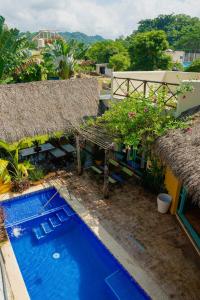 Casa Tropical Nibasan, beautiful garden and pool