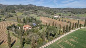Etrusco