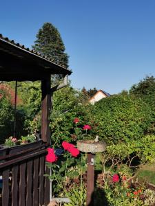 Ferienhaus am Rosenhag