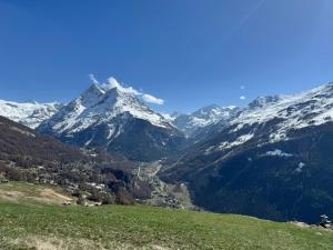 Chalet Alouette