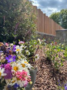 Arnica Alpin Lodge 1