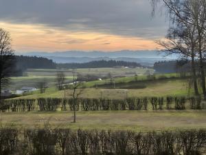 Side-by-Side Tiny Houses