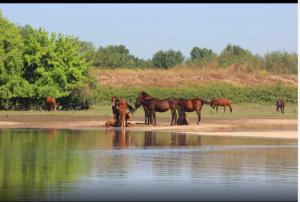 Casa River Sun