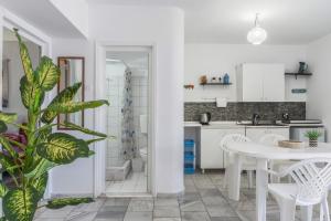 Syrios Suites No 2