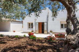 Casa vacanza i due ulivi