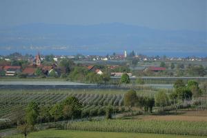 Ferien- und Obsthof Dillmann