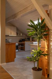 Happy Hugle Haus