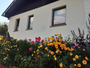 Ferienhaus Werner