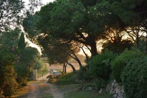 La Barraca de Farena