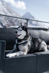 Waldhotel Fletschhorn Private Whole Hotel in Saas-Fee 360 Alpine Views & Sauna