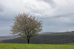 Auf Der Stadtmauer