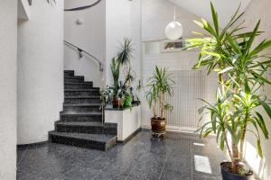 Ferienappartements Steige 3