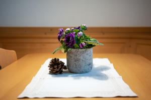 Apartment 3 - Zur Sonne