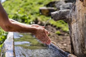 Hof Neuhaus Sebastion