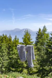 Hof Neuhaus Sebastion