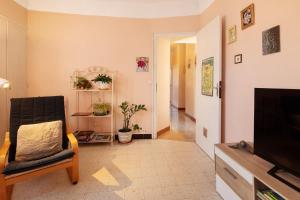 Le Vigan, balcon, parking, animaux