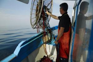 Rossini 14 Centro e Mare a Piedi