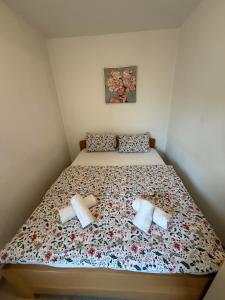 Sity Studio - Skopje
