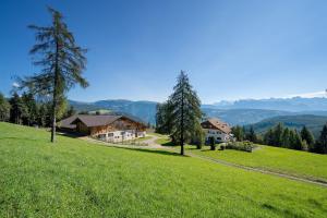 Stücklhof Wohnung Edelweiss