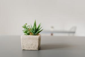 Sweet Home San Giuseppe Jato