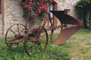 Agriturismo San Domenico-Il Roseto