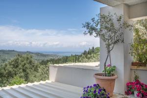 Stone House In Katouna With Garden