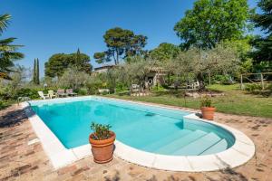 Il Grappolo E La Rosa