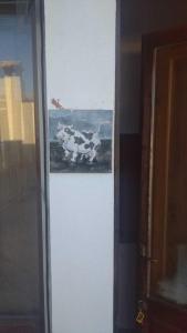 Mucca - La Cantina del contadino