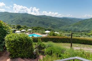 Universal Harmony - Usignolo