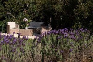 Casa Eleonora - A 150m dalla spiaggia img10