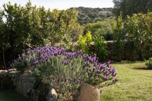 Casa Eleonora - A 150m dalla spiaggia img14