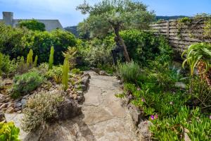 Rez-de-villa avec piscine