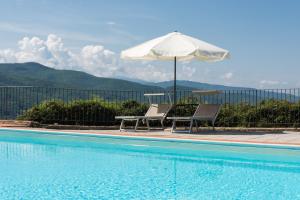 Universal Harmony - Nibbio