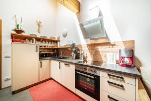 Ferienhaus Larch Soge Apt Paula