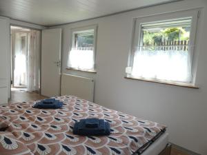 Ferienhaus Villa Wolffsschlucht