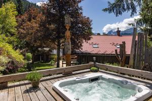 Chalet montagne Spa