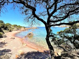 Casa dell Oleandro img30