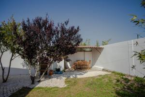 Forest Village Exótic