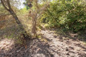 La Quiete nel Bosco