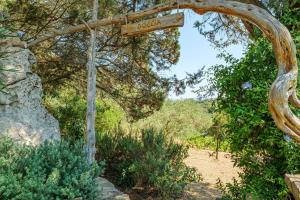 Villa Speranza img25