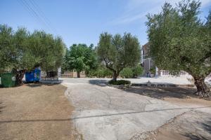 Dimaras Apartments Zakynthos